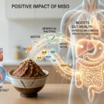 A detailed conceptual infographic photograph visualizing the positive physiological impact of red miso paste on the human body. Beneficial bacteria, vitamins, minerals, and amino acids flow like glowing energy streams from a ceramic bowl of miso paste towards a medical-style illustration of a stylized human torso and digestive tract. The internal organs and veins glow with a healthy, warm light, indicating strength, vitality, and balance, supported by English text labels: POSITIVE IMPACT OF MISO, BOOSTS GUT HEALTH, IMPROVES MICROBIOME, PROMOTES DIGESTION, STRONGER IMMUNITY, ENHANCES DEFENSES, REDUCES INFLAMMATION, SUPPORTS DETOXIFICATION, AIDS LIVER FUNCTION, REMOVES TOXINS. A comparison between a simple table salt shaker and a textured red miso paste emphasizes the unique advantage of fermented salt (miso). The scene blends natural food texture with sophisticated visualization and health graphics.